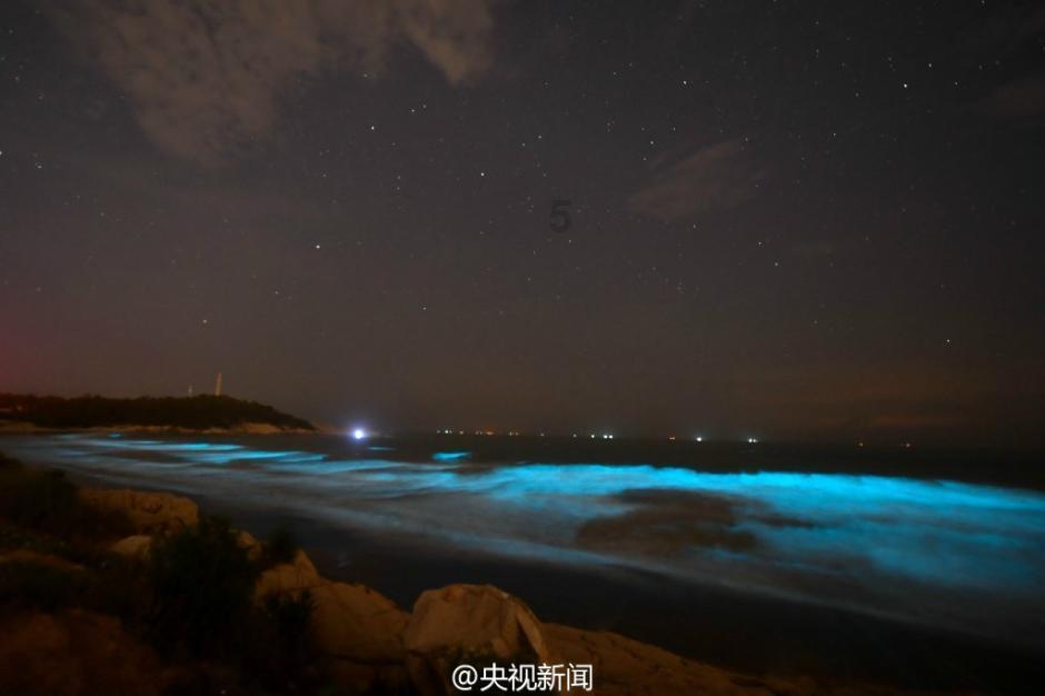 去不婚主义的女儿家，沙发晚上没法睡，这么长的房子，真是头次见