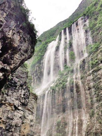 春雨直播app
